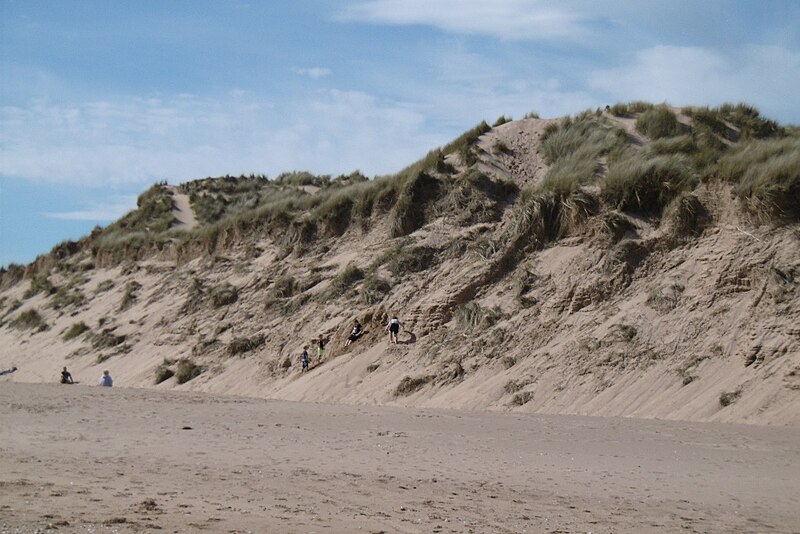 File:Eroding dunes, Balmedie - geograph.org.uk - 5643582.jpg