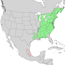 Fagus grandifolia elterjedési térkép 1.png