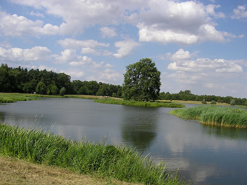 File:Falk Oberdorf Auesee mit Insel.JPG