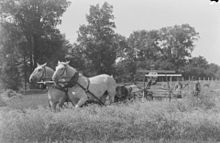 Horse-drawn reaper in Canada in 1941 Feature. Agricultural School BAnQ P48S1P06852.jpg