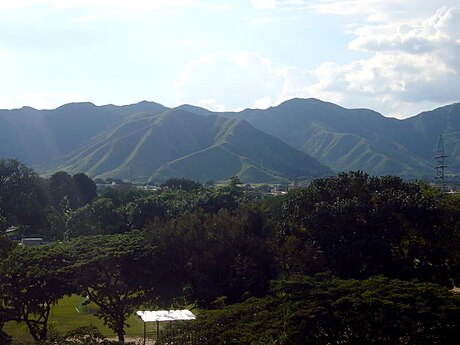 El Limón (Venezuela)