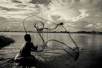 Villagers catching fish in the season by their hand made fishing net, Bangladesh. Photograph: Khokarahman Licensing: CC-BY-SA-4.0