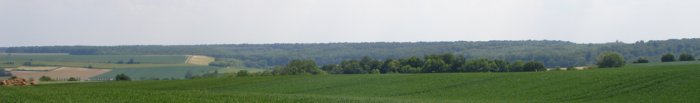 A Hesdin nemzeti erdő panorámája a GR121-től Contesig.