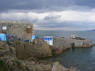 <span class="mw-page-title-main">Forty Foot</span> Promontory in Ireland