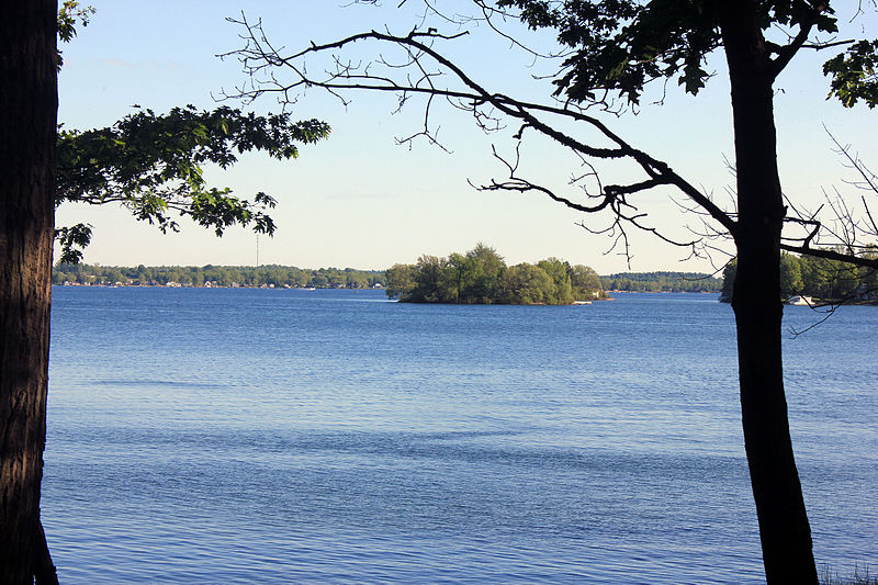 File:Gfp-new-york-wellesley-island-state-park-st-lawrence-through-the-trees.jpg