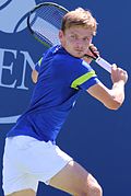 David Goffin