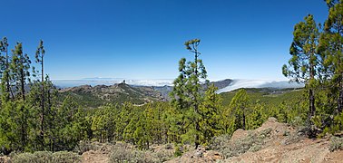 Gran Canaria, Las Cumbres Panorama con Roque Nublo.jpg