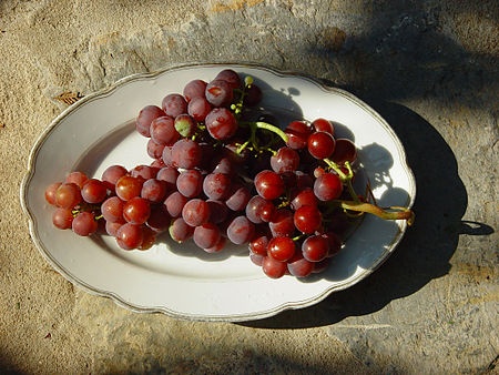 Fail:Grape_00005.jpg