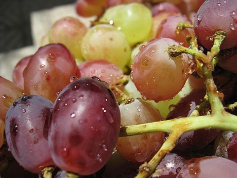 Grapes in Iran