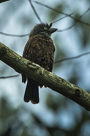 Popis tohoto obrázku, také komentován níže