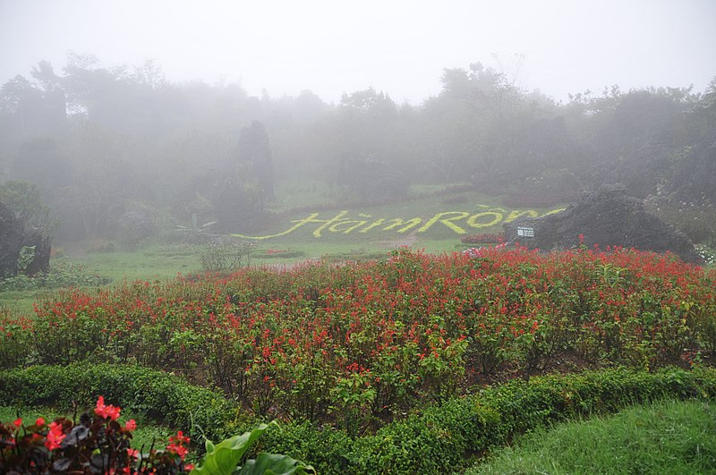 File:Hàm rồng - panoramio.jpg