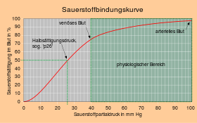 Neues SVG