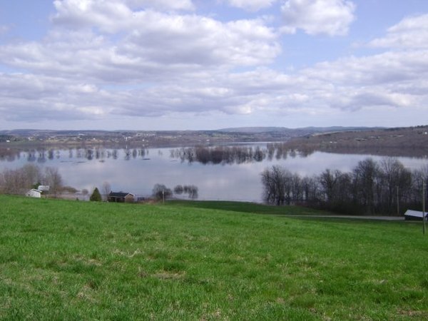 High water in the Hampton Marsh in April 2008.