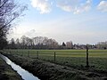 Heiligenseer feld 2008.JPG