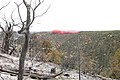 Helicopter involved in fire retardant operations, Long Mesa Fire, Mesa Verde National Park, July-August 2002 (5fde25fa-335c-4147-8e1a-e20f332bf963).jpg