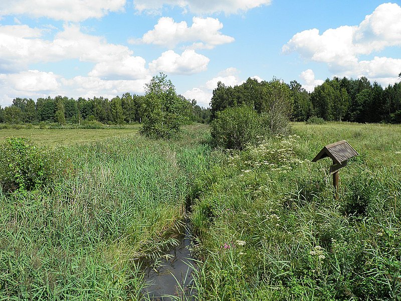 File:Hercoga Jēkaba kanals - panoramio.jpg