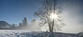 * Nomination Winter - Fog Panorama --Böhringer 23:38, 25 December 2008 (UTC) * Promotion very nice result, good DOF I would suggest next time approach the location from a different direction to avoid your foot prints, might even be worth a run at FP Gnangarra 12:17, 29 December 2008 (UTC)
