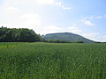 Blick von Houverath südwärts zum Hochthürmerberg