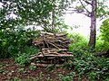 Houtstapel voor insecten en andere dieren