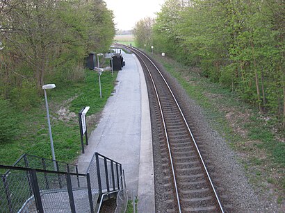 Sådan kommer du til Hovmarken med offentlig transport – Om stedet