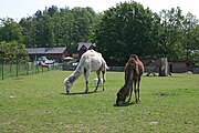 Čeština: Penzion a farma Hulín, Česká republika.