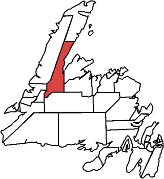 <span class="mw-page-title-main">Humber Valley (electoral district)</span>Provincial electoral district in Newfoundland and Labrador,Canada