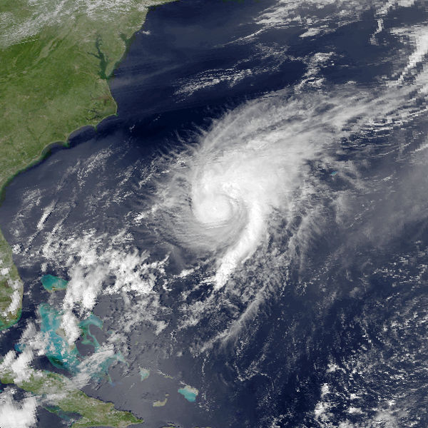 1981 Atlantic hurricane season