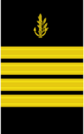 IDF-Navy-Sleeve-6.png