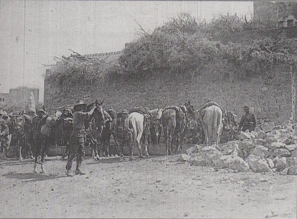 Chasseurs d'Afrique and 5th Light Horse Brigade at Anebta