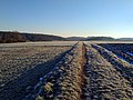 2019年1月1日 (火) 19:44時点における版のサムネイル