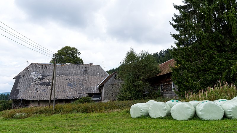 File:Jockelishof (Hinterzarten) jm52121.jpg