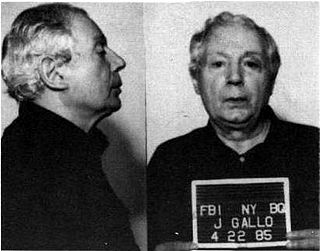 <span class="mw-page-title-main">Joseph N. Gallo</span> American mobster