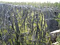 Jutulhogget – fjellvegg med klippepulverlav (Chryosotrix chlorina)