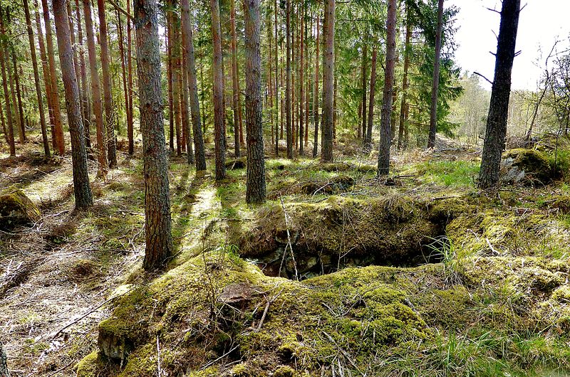 File:Källargrund vid torplämning (2) Rasbo 536-1 Uppland.jpg