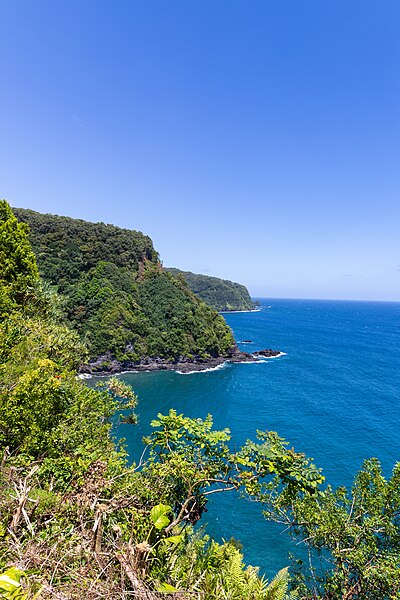 File:Küste Maui Hawaii Road to Hana (45740972691).jpg