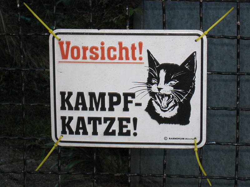 File:Kampfkatze.jpg