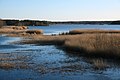 * Nomination Lake Kauklaistenjärvi seen from birdwatching tower, Lappi, Rauma, Finland. --Kallerna 07:37, 5 April 2020 (UTC) * Promotion  Support Good quality. --Poco a poco 08:21, 5 April 2020 (UTC)