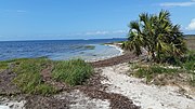 Thumbnail for Keaton Beach, Florida