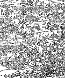 <span class="mw-page-title-main">Battle of Kletsk</span> 1506 battle of the Muscovite-Lithuanian Wars