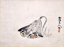 "Koroppokuru Beneath a Butterbur" by Matsuura Takeshiro (Hakodate City Museum) Koroppokuru Beneath a Butterbur by Matsuura Takeshiro (Hakodate City Museum).jpg