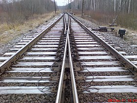 Swingnose crossing at a switch set for the diverging line Krustenis ar kustigu serdi 1-18.jpg