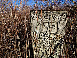 Krzeszów - Cmentarz żydowski (kirkut) - macewy