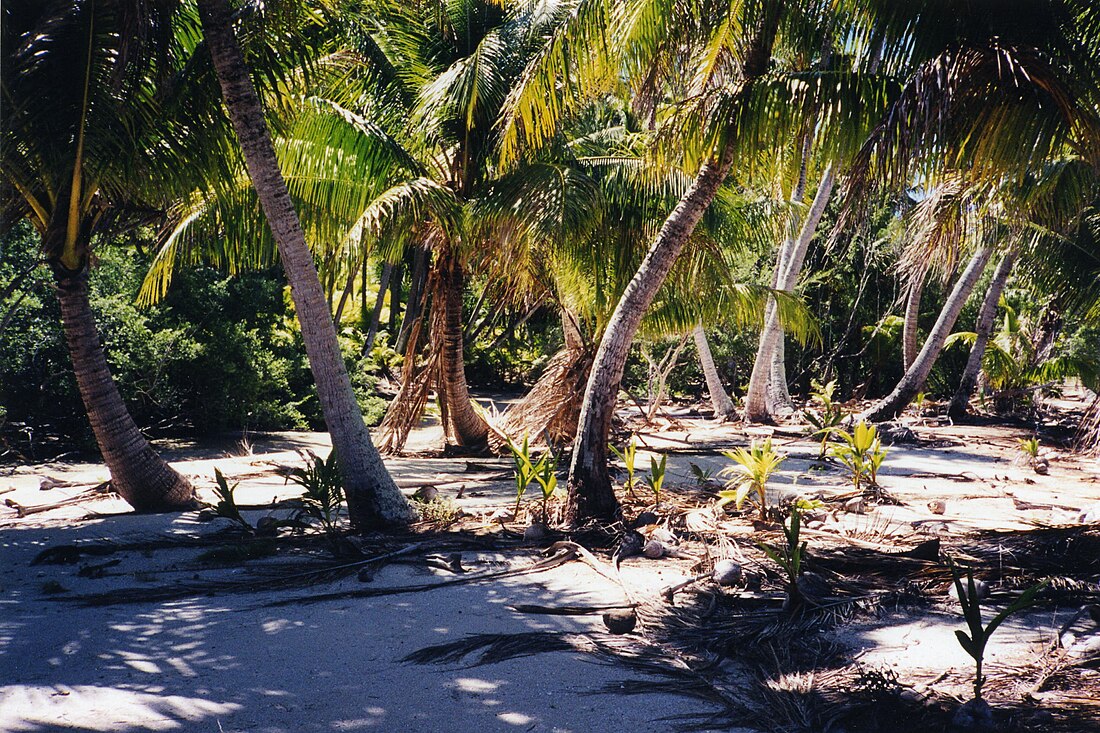 Tuamotu