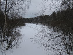 Laholaisoja Kuivasjärven Kaijonlahden kaakkoispäässä, näkymä etelään