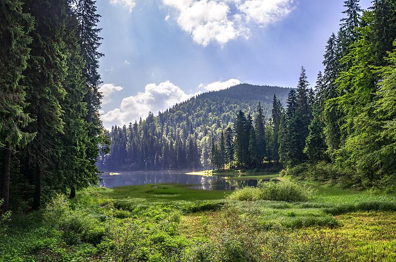 File:Lake Synevyr.jpg