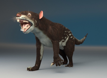 Leon marsupial.png