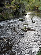 The Wesenitz in the Liebethaler Grund