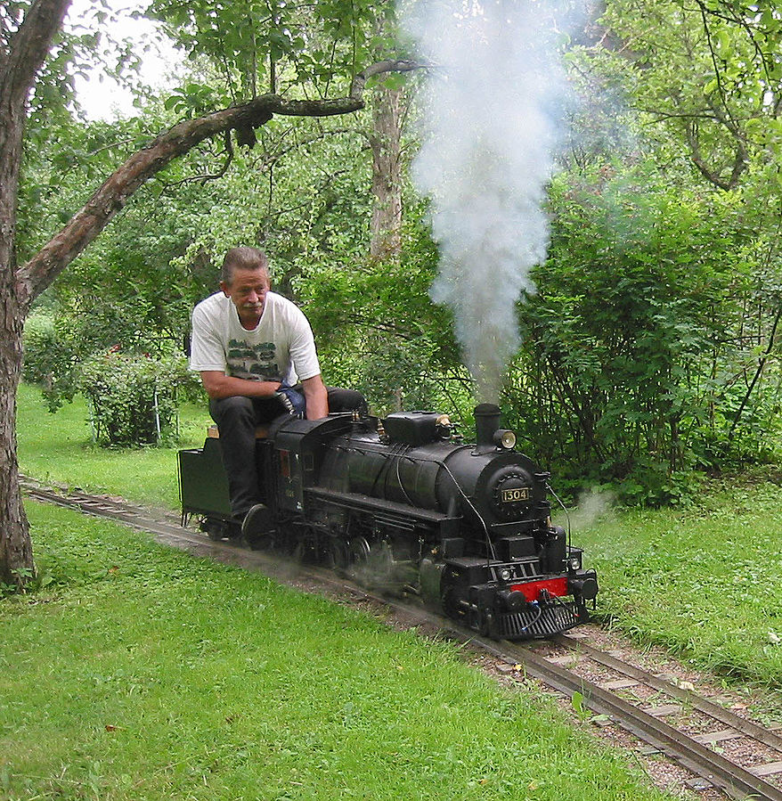 Live steam railway фото 7