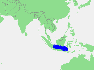 Java Sea A marginal sea located between Java and Kalimantan, in Indonesia