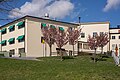 * Nomination Japense cherry (prunus serrulata) in Lumaparken. --ArildV 12:02, 5 May 2015 (UTC) * Promotion Good quality. --Livioandronico2013 14:53, 5 May 2015 (UTC)